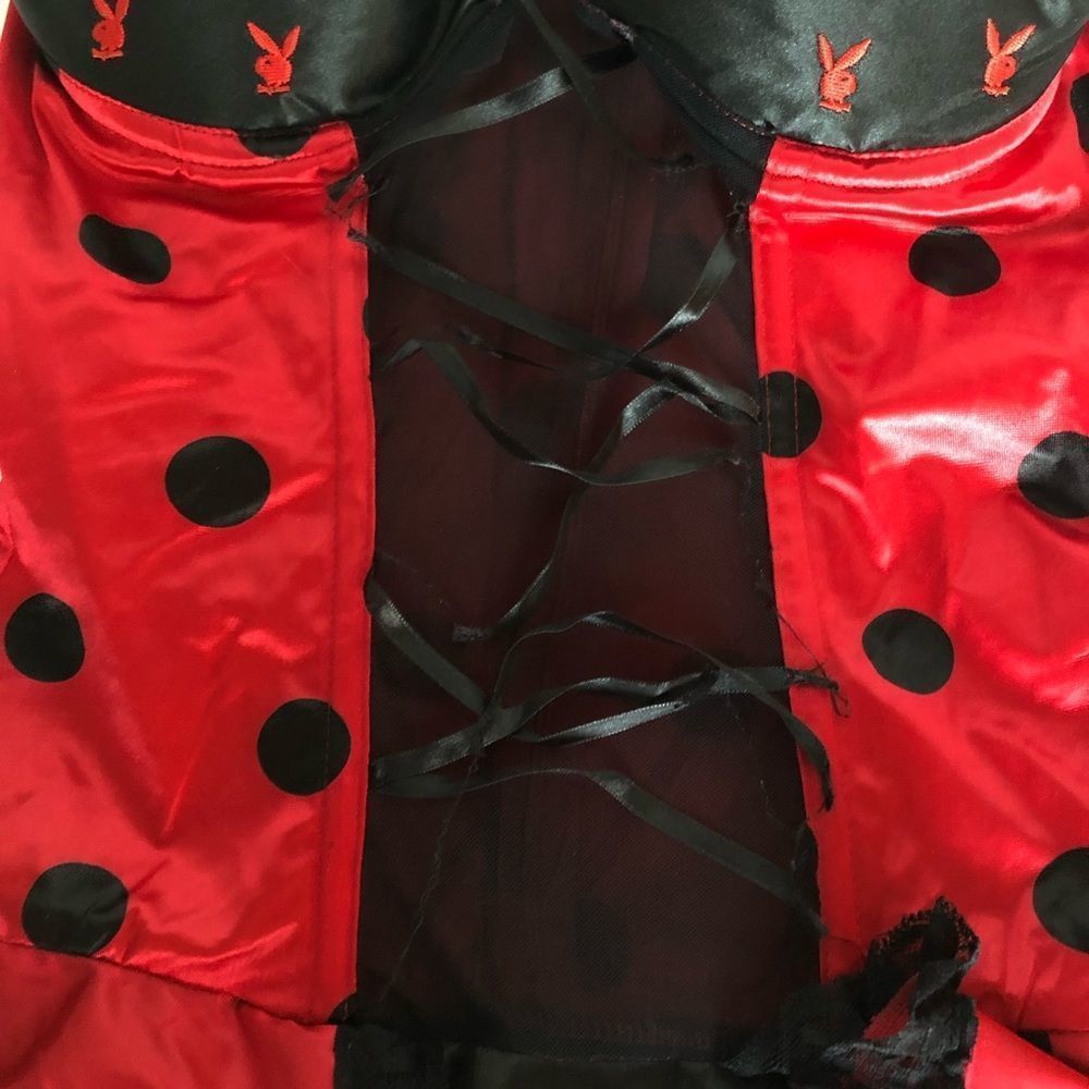 Ladybug Costume By Playboy Costume Collection. Gem